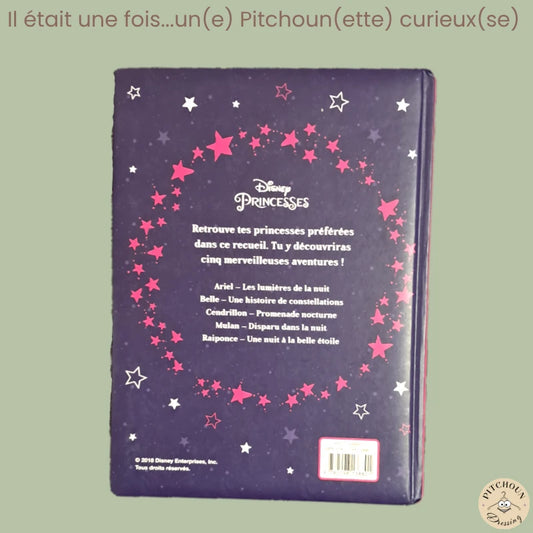 Livre la nuit des princesses - Disney - état comme neuf