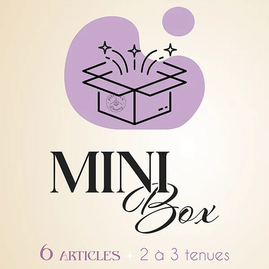 mini box 6 articles